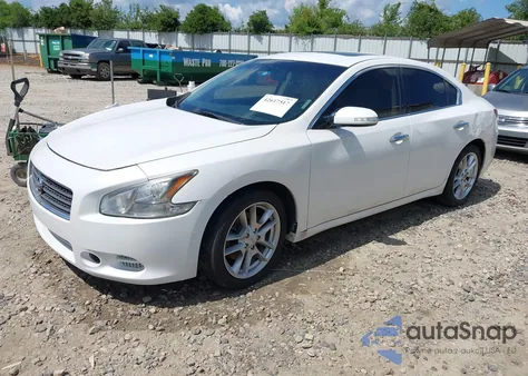 2011 Nissan Maxima 3.5 Sv z USA, uszkodzony, nr VIN 1N4AA5APXBC813749